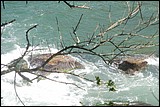 Fotografia_paisagem0420.jpg(122 KB)