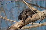 Fotografia_paisagem0432.jpg(75.7 KB)