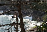 Fotografia_paisagem0473.jpg(124 KB)