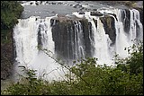 Iguacu-4596.jpg(125 KB)