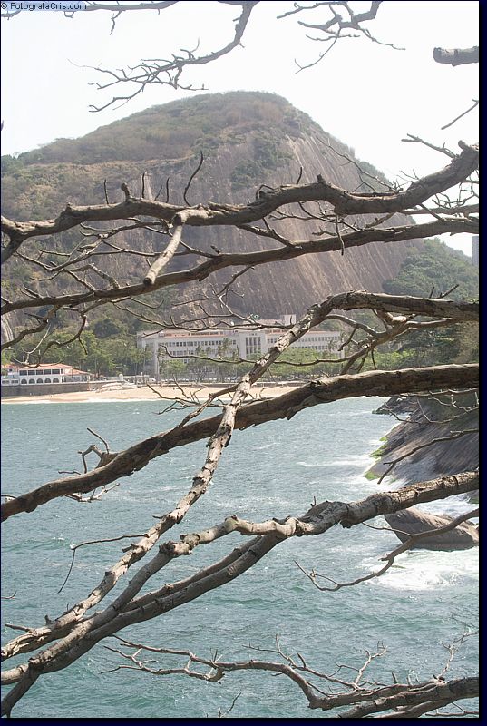 Fotografia_paisagem0439.jpg Fotografa Cris Rio de Janeiro RJ
